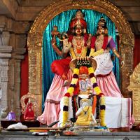 20110225_Photo_1120_IMG_0752_CMP_WM